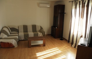 Apartment Piterina 1